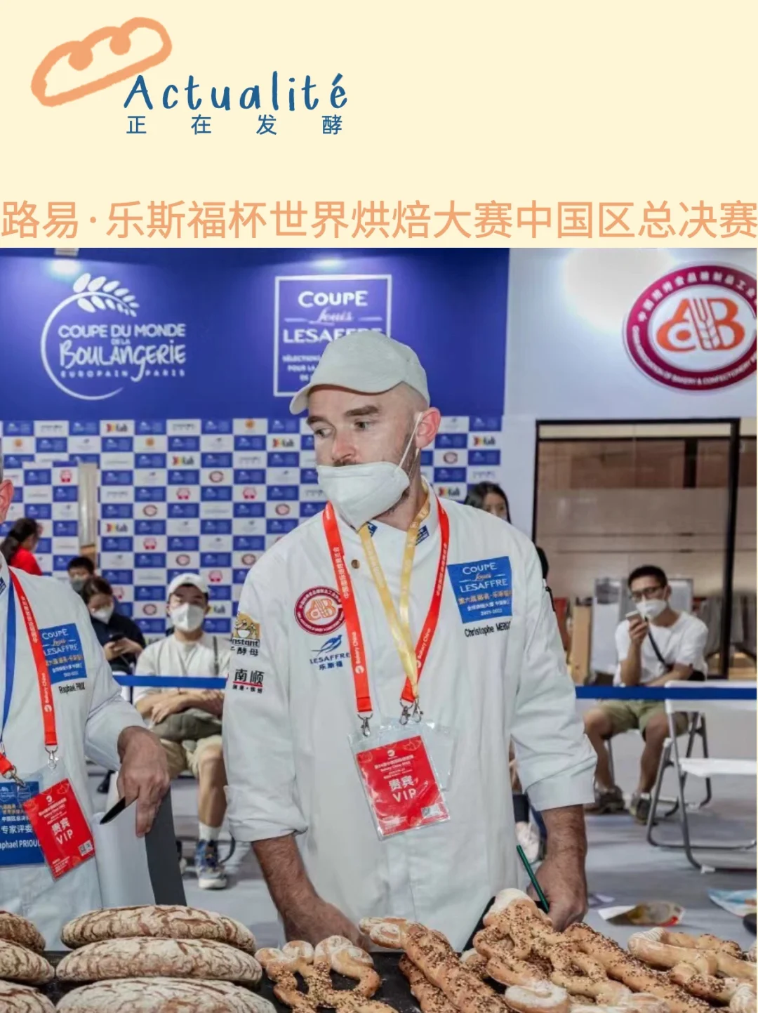 球队整装待发,冲刺冠军宝座的简单介绍 球队整装待发,冲刺冠军宝座的简单介绍