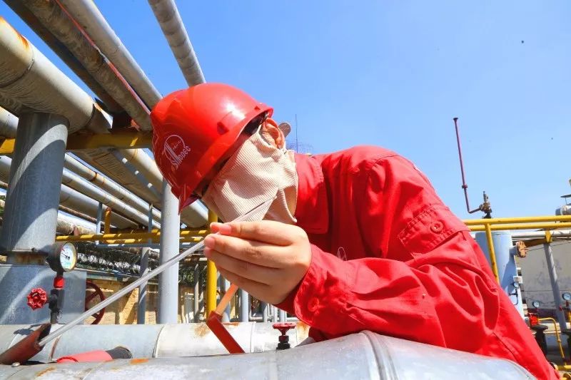 关于挥汗如雨，球员奋力奋斗抓住胜利机会的信息