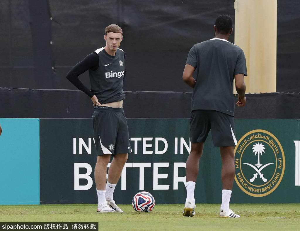 蓝鹰进攻效率下滑,教练大力调整战术 蓝鹰进攻效率下滑,教练大力调整战术