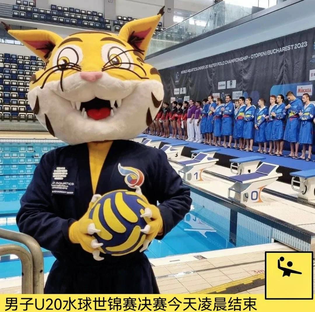 匈牙利队在国际锦标赛中晋级