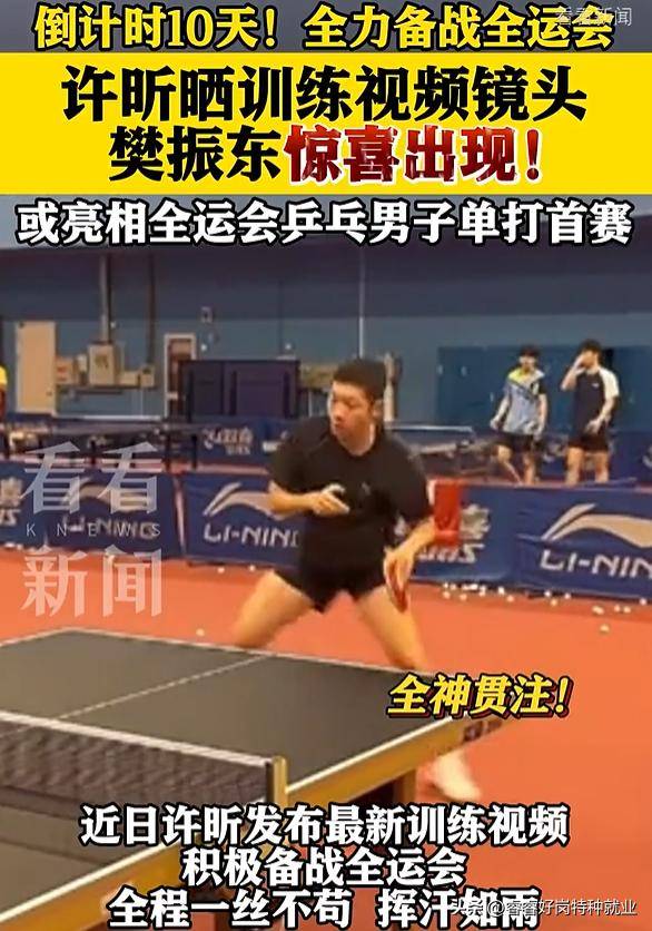 波兰队力克韩国队，许昕关键制胜